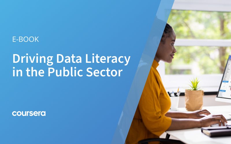 Driving Data Literacy in the Public Sector 